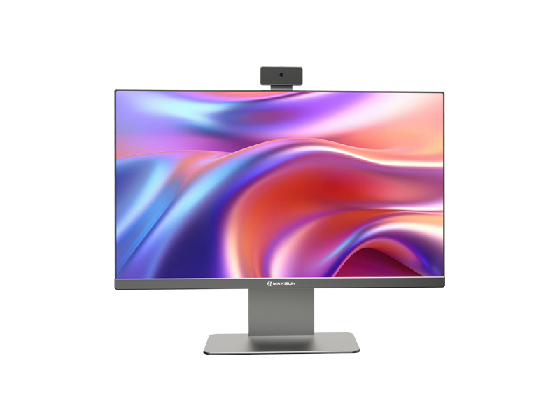MS-V24